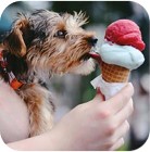 natural ice cream